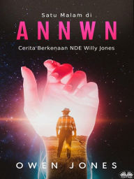 Title: Satu Malam Di Annwn: Cerita Berkenaan NDE Willy Jones, Author: Owen Jones