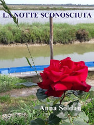 Title: Una notte sconosciuta, Author: Anna Soldan