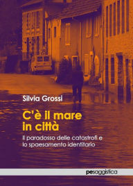 Title: C'è il mare in città: Il paradosso delle catastrofi e lo spaesamento identitario, Author: Silvia Grossi