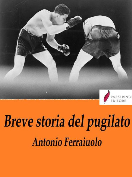 Breve storia del pugilato