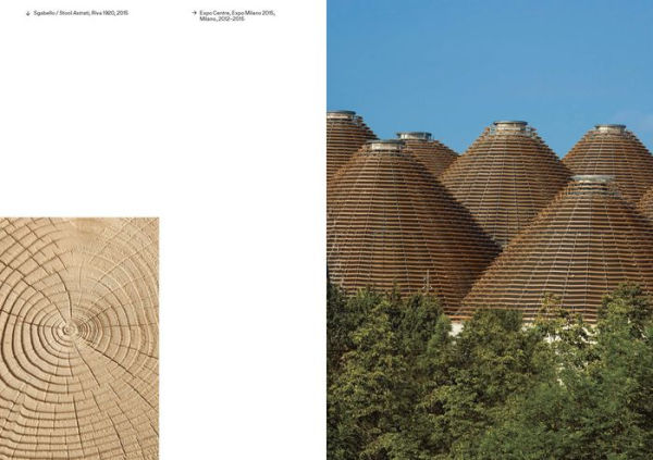 Michele De Lucchi & AMDL Circle: Connettoma: Synapsis of Humanistic Architecture