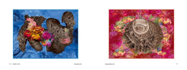 Gideon Bosker: Photopoesis, the Metapolitan Museum