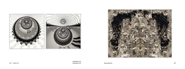 Gideon Bosker: Photopoesis, the Metapolitan Museum