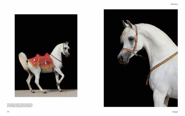 Barnes and Noble Al-Shaqab: The Legacy of Arabian Horses | Hamilton Place