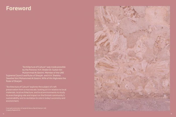 Architecture of Culture: Design Labs II Volume I
