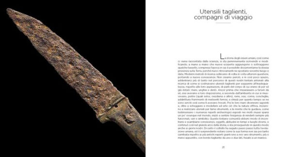 Shining Blades: From the Aldo and Edda Lorenzi Collection