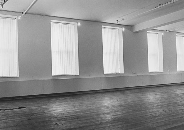 Ileana Sonnabend and Arte Povera