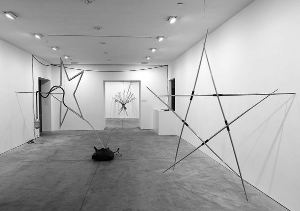 Ileana Sonnabend and Arte Povera