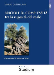 Title: Briciole di complessità: Tra la rugosità del reale, Author: Mario Castellana