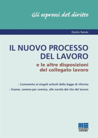 Title: Il nuovo processo del lavoro, Author: Elpidio Natale