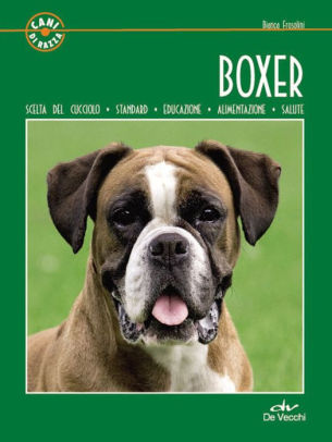 Boxer By Bianca Frosolini Nook Book Ebook Barnes Noble