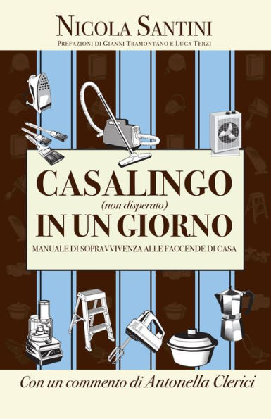 Casalingo (non disperato) in un giorno: Manuale di sopravvivenza alle faccende di casa