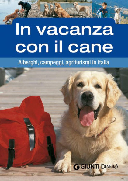 In vacanza con il cane