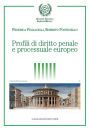 Profili di diritto penale e processuale europeo