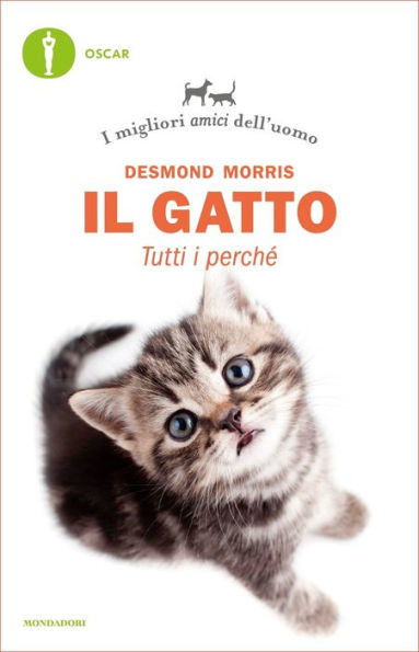 Il gatto. Tutti i perché