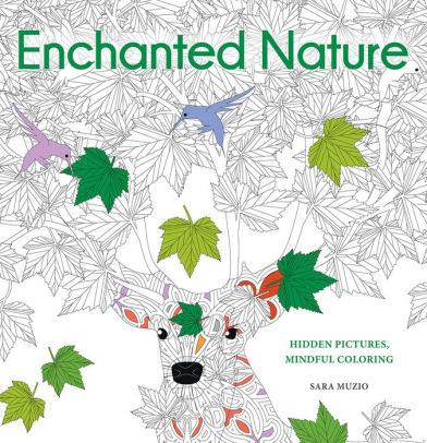 Download Enchanted Nature Coloring Book Hidden Pictures Mindful Coloring By De Agostini Paperback Barnes Noble