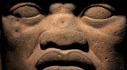 Alternative view 2 of Maya
