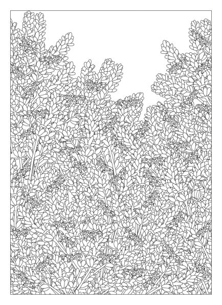 Flower Fantasy. An anti-stress coloring book with 60 illustrations