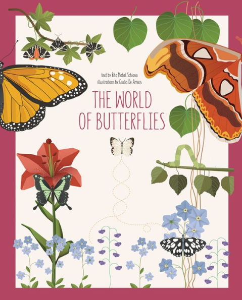 The World of Butterflies