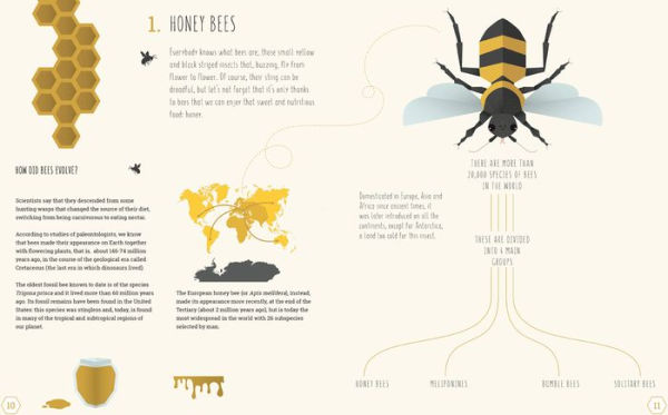 The World of Bees