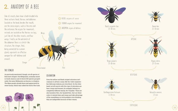 The World of Bees