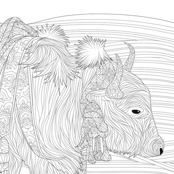 Beauty of the Far East: A Coloring Exploration