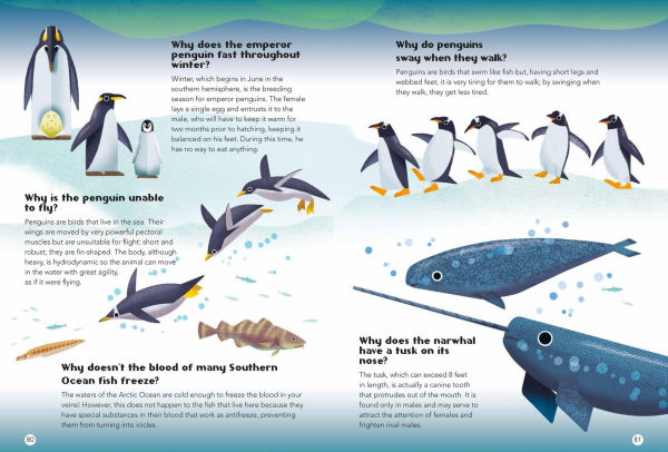 200 Q&As About Animals