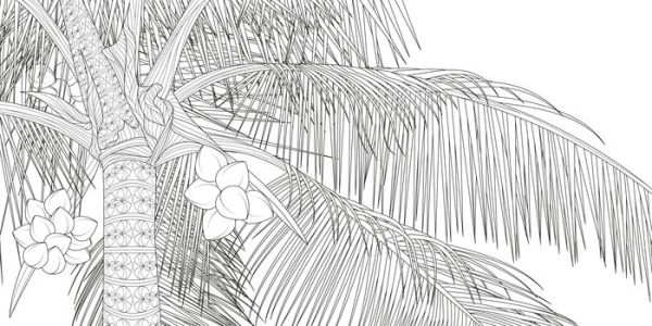 The Splendor of Trees Coloring Book