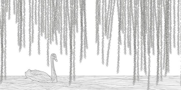 The Splendor of Trees Coloring Book