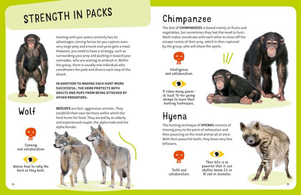 Most Lethal Animals