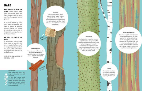 The Secrets of Trees