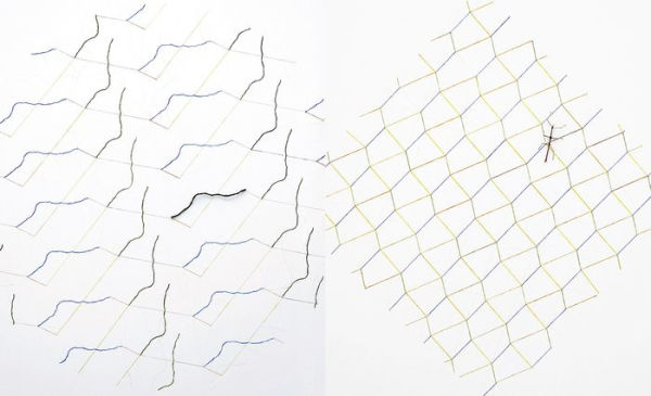 Daniel Steegmann Mangrané: A Leaf-Shaped Animal Draws the Hand