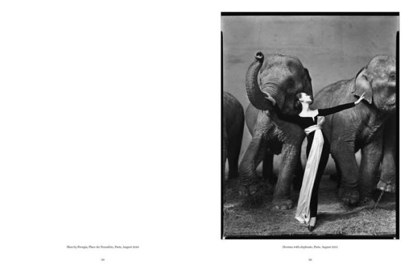 Richard Avedon: Relationships