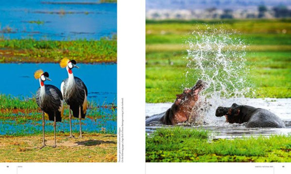 Africa: Discovering Wildlife Parks