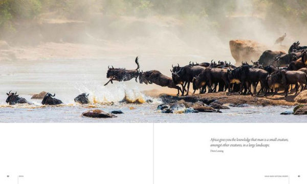 Africa: Discovering Wildlife Parks
