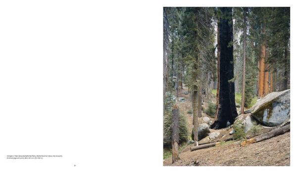 Mitch Epstein: American Nature