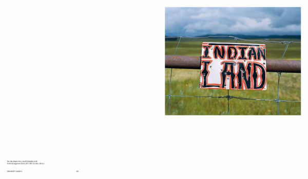 Mitch Epstein: American Nature