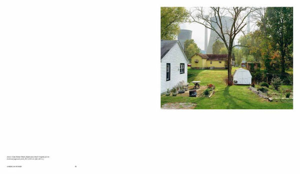 Mitch Epstein: American Nature