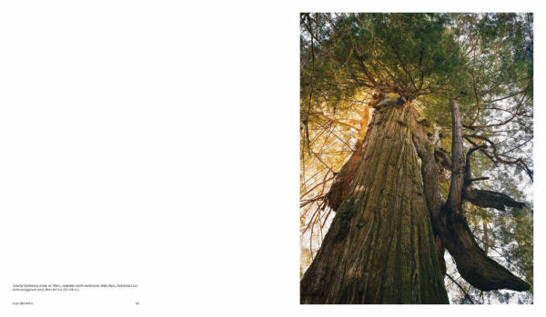 Mitch Epstein: American Nature