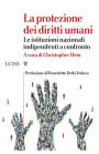 La protezione dei diritti umani: Le istituzioni nazionali indipendenti a confronto