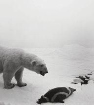 Title: Hiroshi Sugimoto: Dioramas, Author: Hiroshi Sugimoto