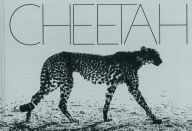 Title: Mark Segal: Cheetah, Author: Mark Segal