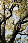 Marius Schultz: A Conversation with Nature
