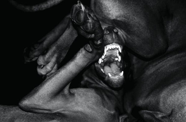 Jean Pigozzi: Charles and Saatchi: The Dogs