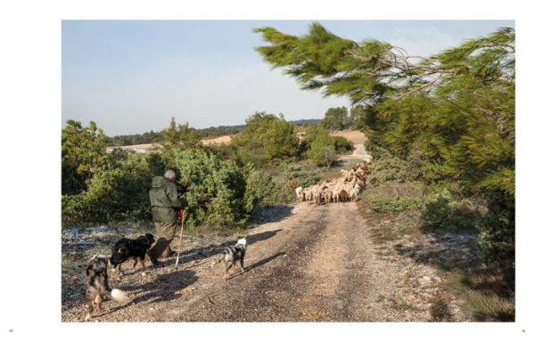 Rachel Cobb: Mistral: The Legendary Wind of Provence