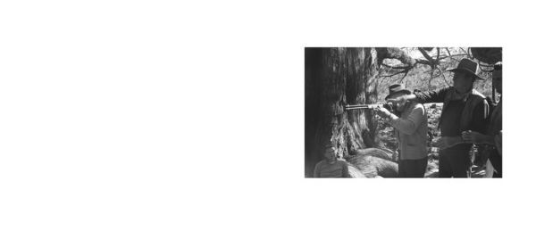 Dennis Hopper: In Dreams: Scenes from the Archive