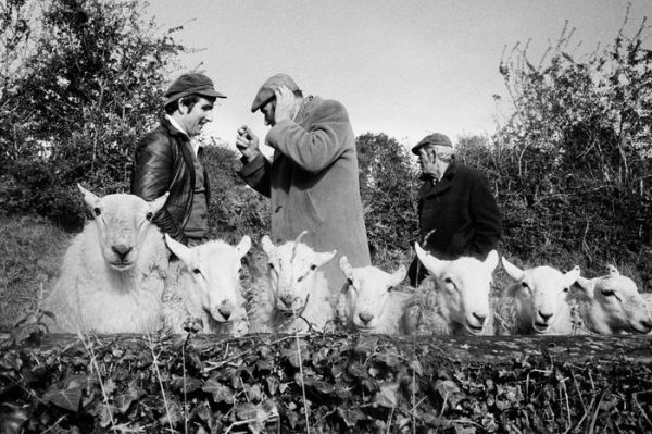 Martin Parr: From the Pope to a Flat White, Ireland 1979-2019