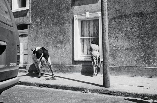 Martin Parr: From the Pope to a Flat White, Ireland 1979-2019