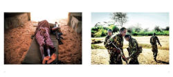 Alternative view 3 of Steven Thackston: Flowers in a Thorn Tree: On the Road with the Warriors for Peace and Wildlife