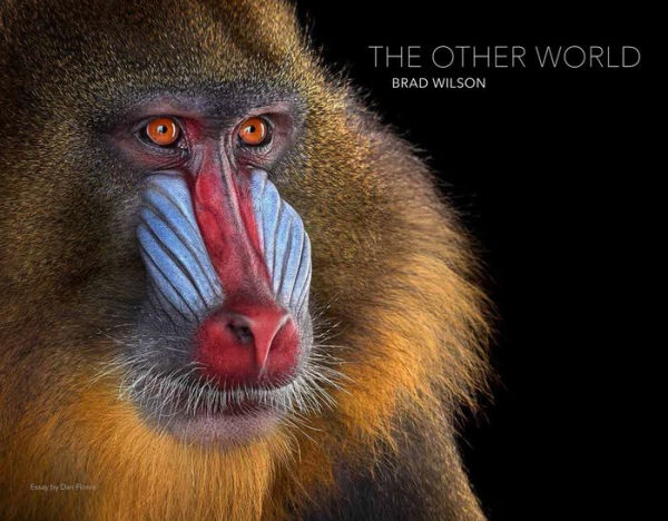 Brad Wilson: The Other World: Animal Portraits